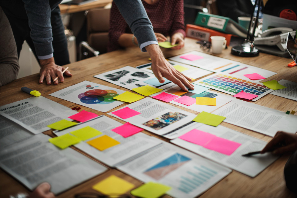 Program Management Professional